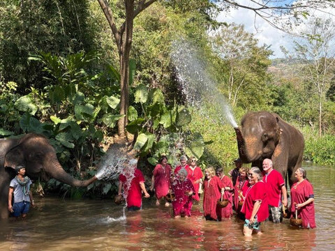 Elephant EcoValley-夜登必去景点