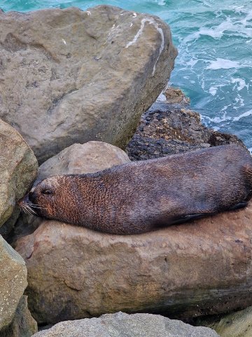 布赖登奥玛鲁酒店-官方