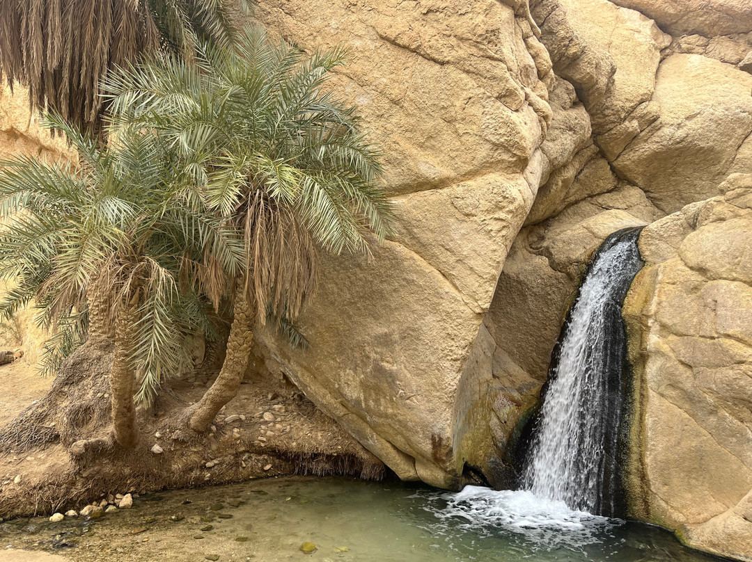 Caravane Du Sahara-Ghlissia必去景点