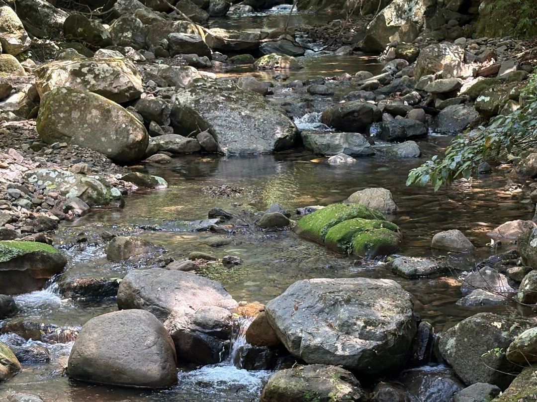Minnamurra Falls-Jamberoo必去景点