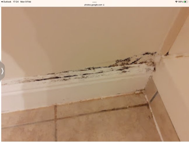 Warner Hotels - Cricket St. Thomas-浴室