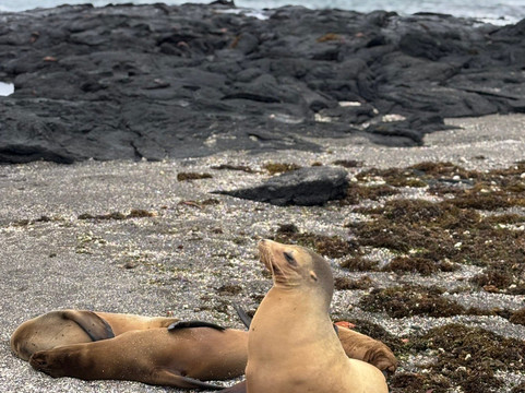 Galapagos Last Minutes-基多必去景点