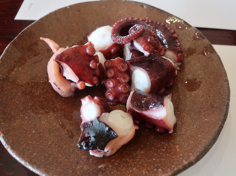 日间贺观光酒店主图