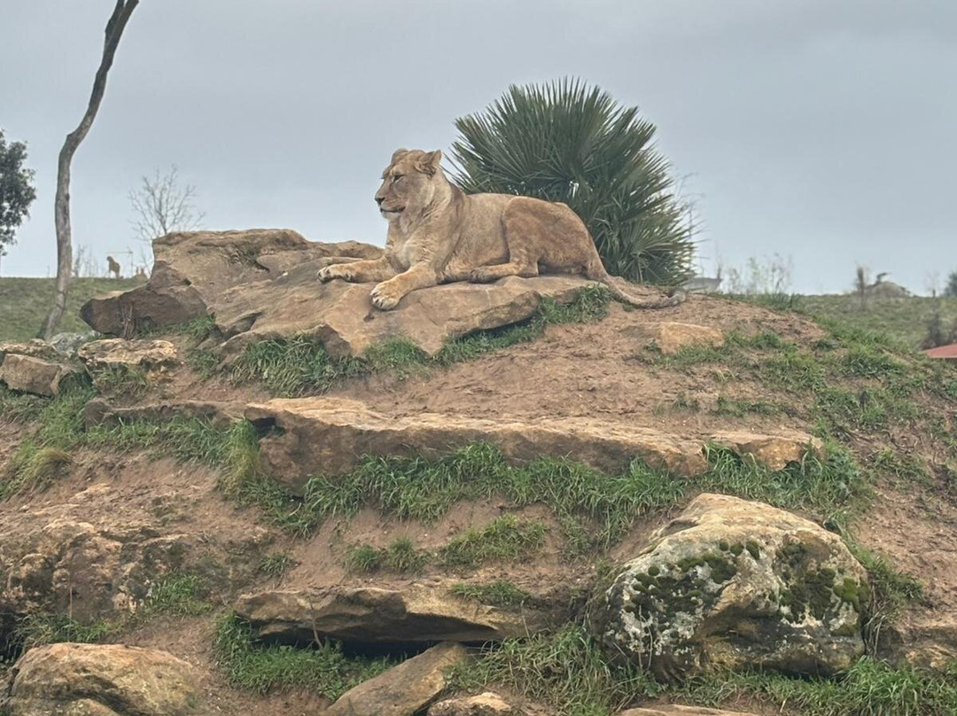 Bioparc - Zoo de Doué la Fontaine-Doue-la-Fontaine必去景点