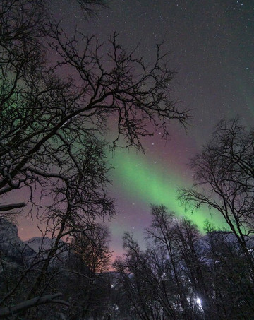 Steam Tours-特罗姆瑟必去景点