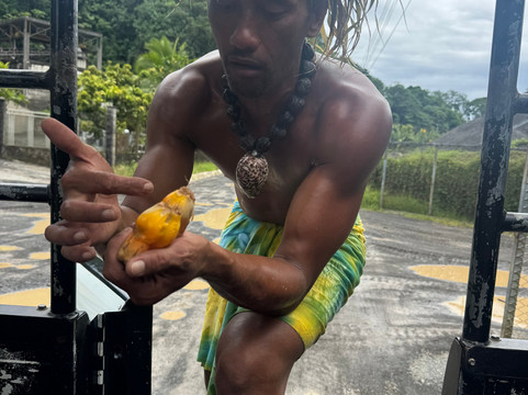 Marama Safari 4x4-法阿必去景点