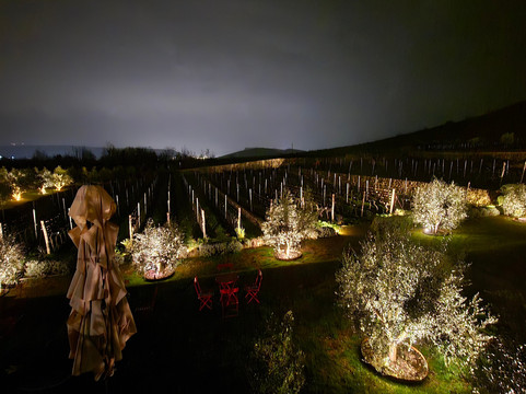 Kekovic Estate-Danilovgrad Municipality必去景点