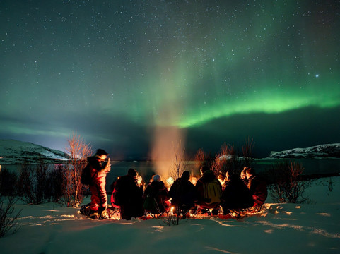 Blue Puffin - Tromso Experiences-特罗姆瑟必去景点