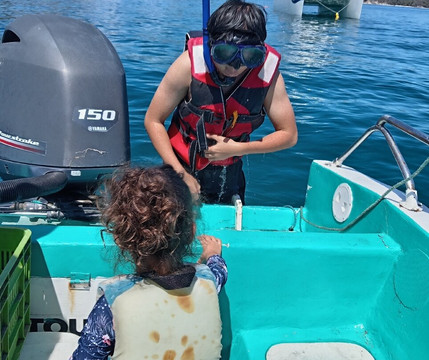 Coco's Tours Cr-彭塔雷纳斯必去景点