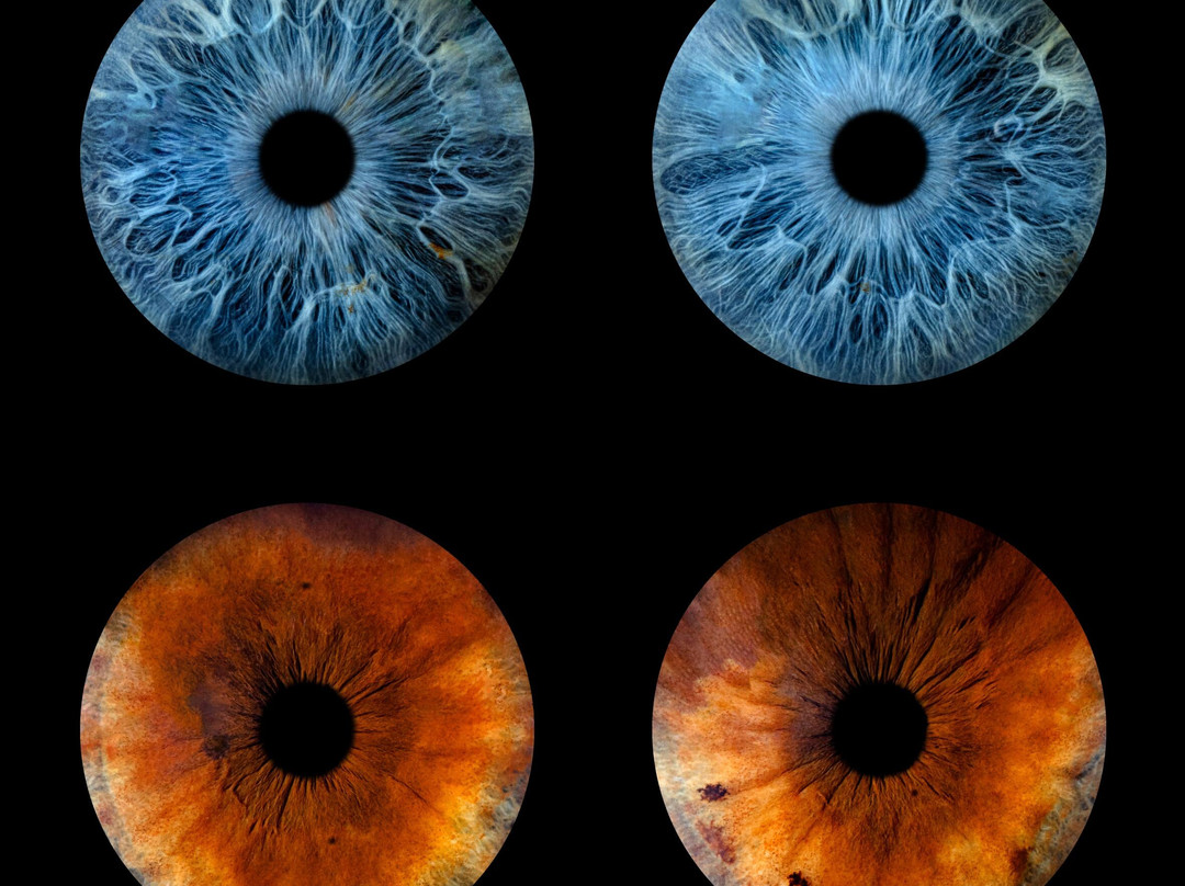 Iris Galerie Utrecht-乌特勒支必去景点