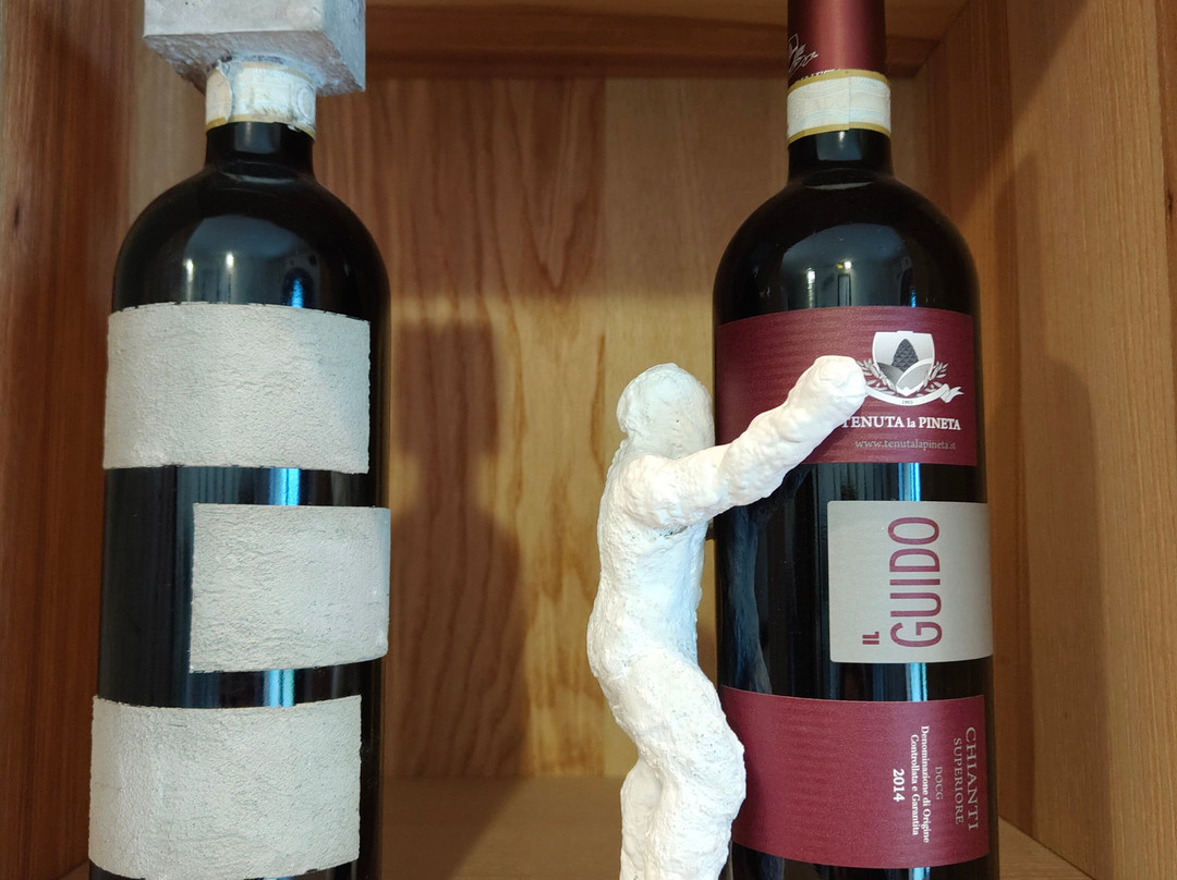 Cantina Tenuta La Pineta-Castiglion Fibocchi必去景点