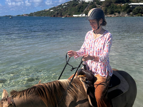 The Aerial, BVI主图