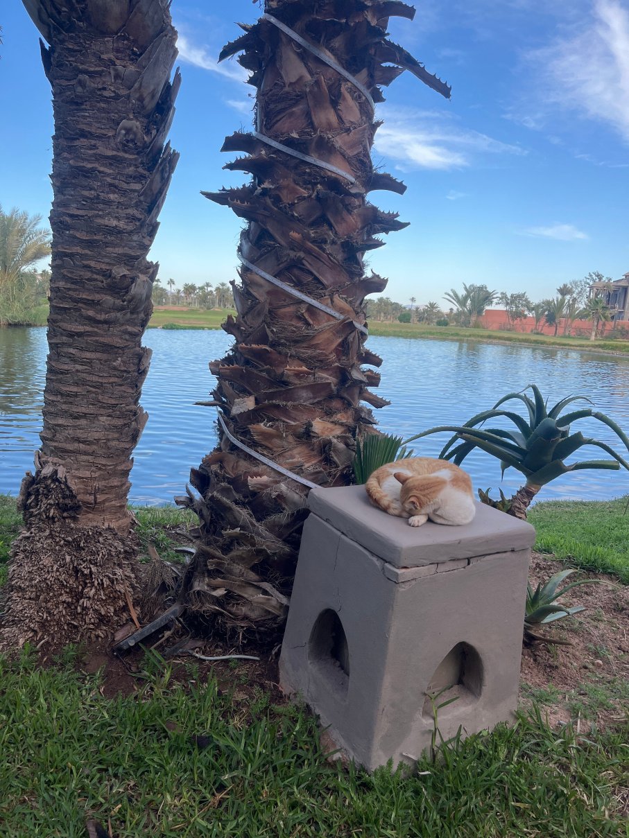 高尔夫馆酒店-官方