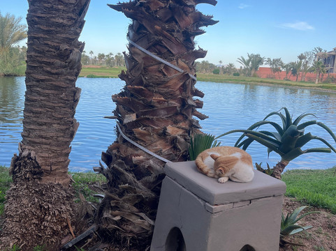 高尔夫馆酒店主图