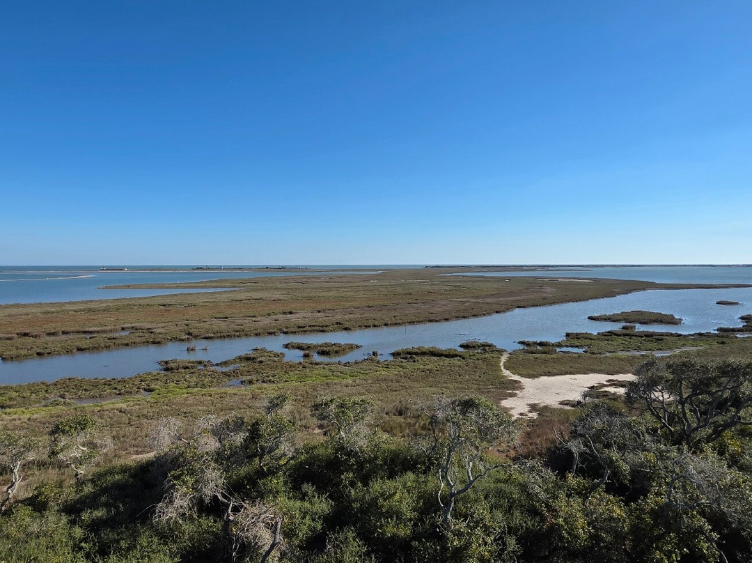 Aransas National Wildlife Refuge-Austwell必去景点