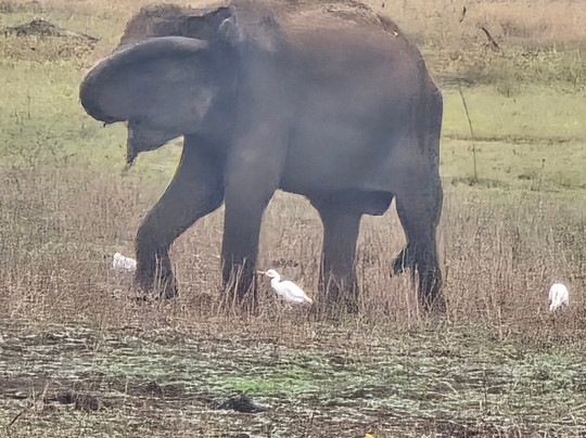 Bentota Travel Mart-班托塔必去景点