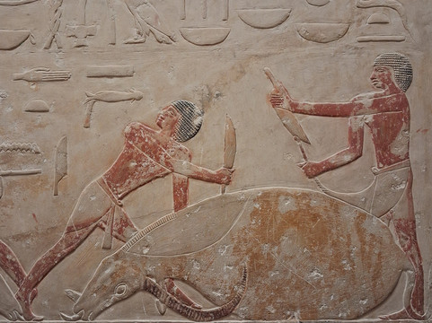 Tomb of Idut-Saqqara必去景点