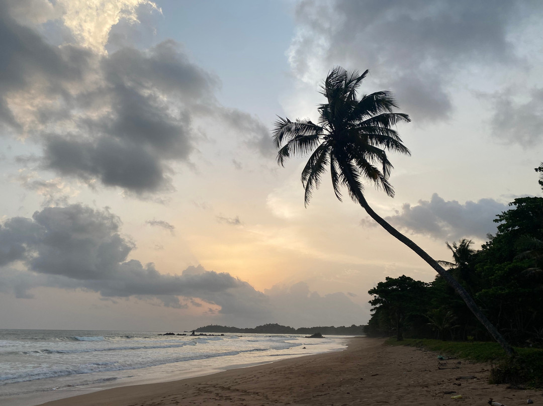 Trinity Beach Villas