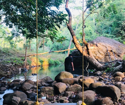 Horizon Finder-Vythiri必去景点