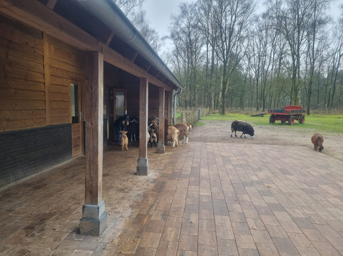 Center Parcs Het Meerdal America主图