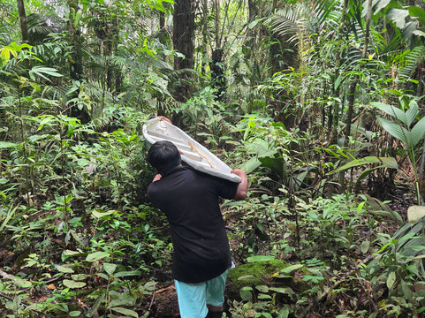 Henry Eco Tours-Coca必去景点