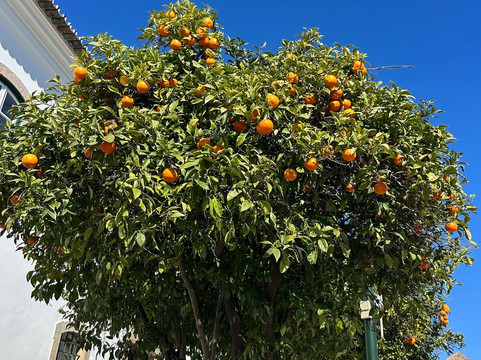 法鲁精品酒店主图