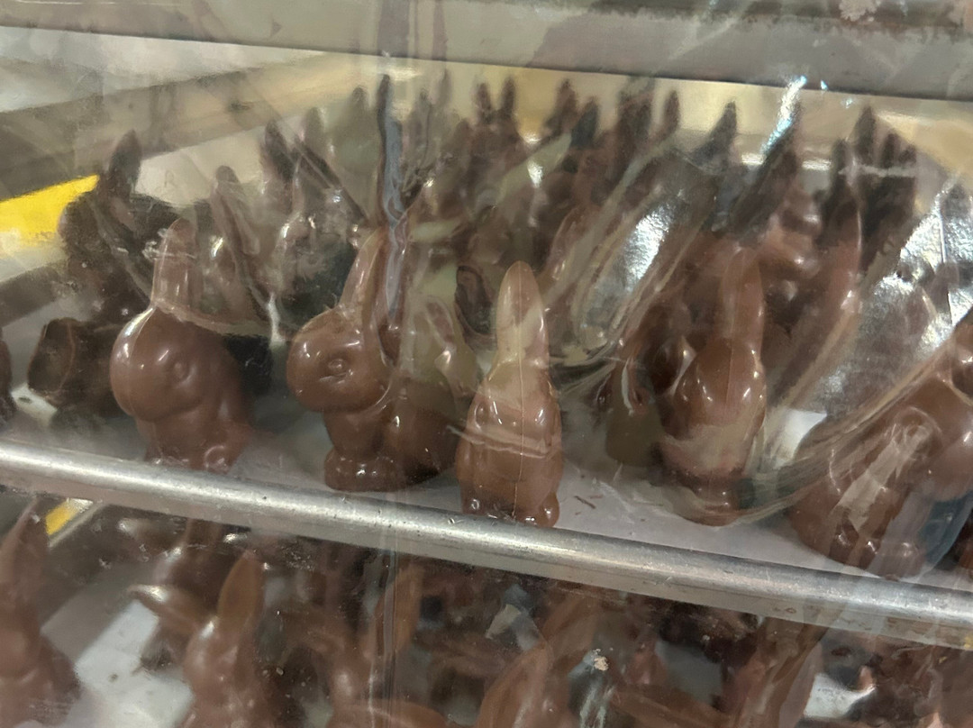 Whetstone Chocolates Tasting Tour-圣奥古斯丁必去景点