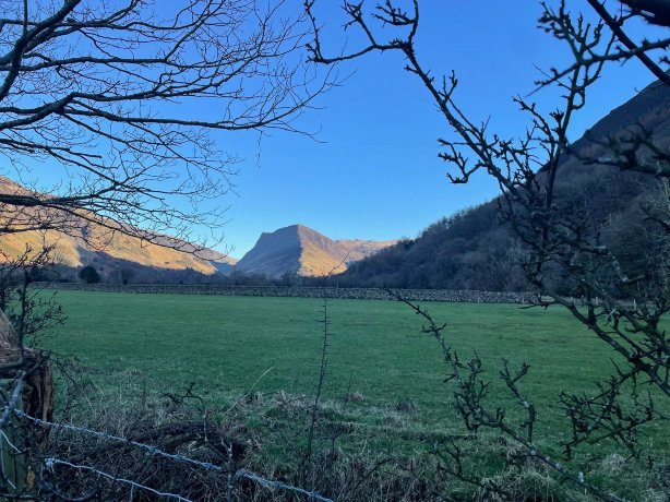 布里奇酒店-官方