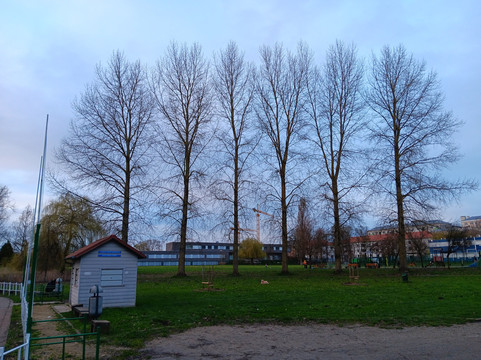 Petit Train a Vapeur de Forest-布鲁塞尔必去景点