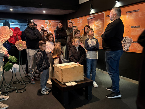 Bee Museum-诺帕克特斯必去景点