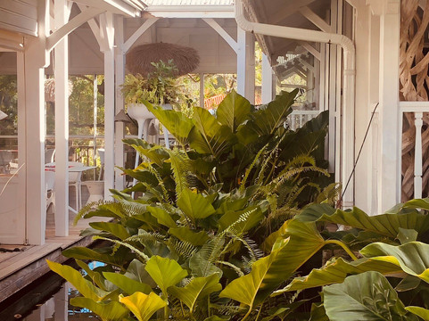 阳光普照酒店主图