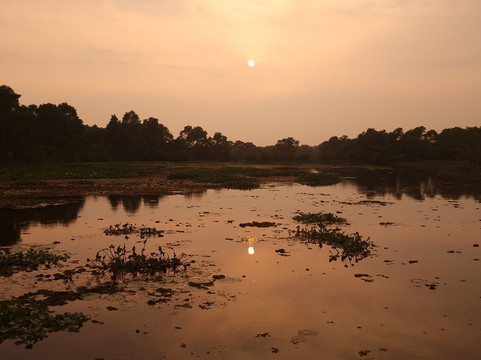 Kalametiya Lagoon Safari-Hungama必去景点
