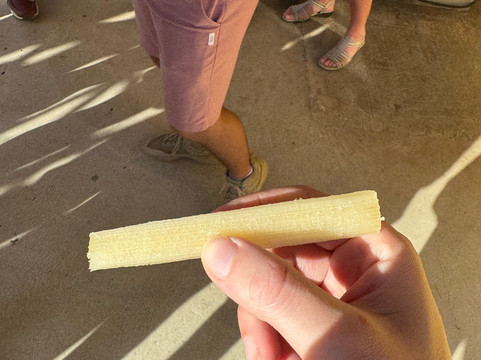 Alto Vista Winery-Noord必去景点