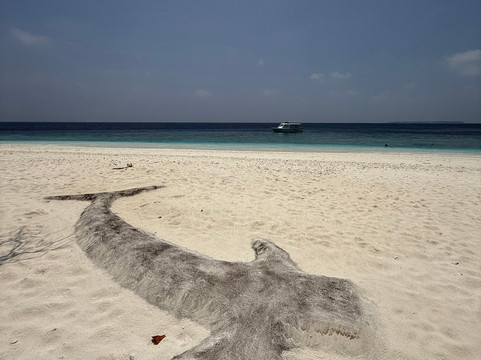 Papa Fish Excursions-乌库拉斯必去景点