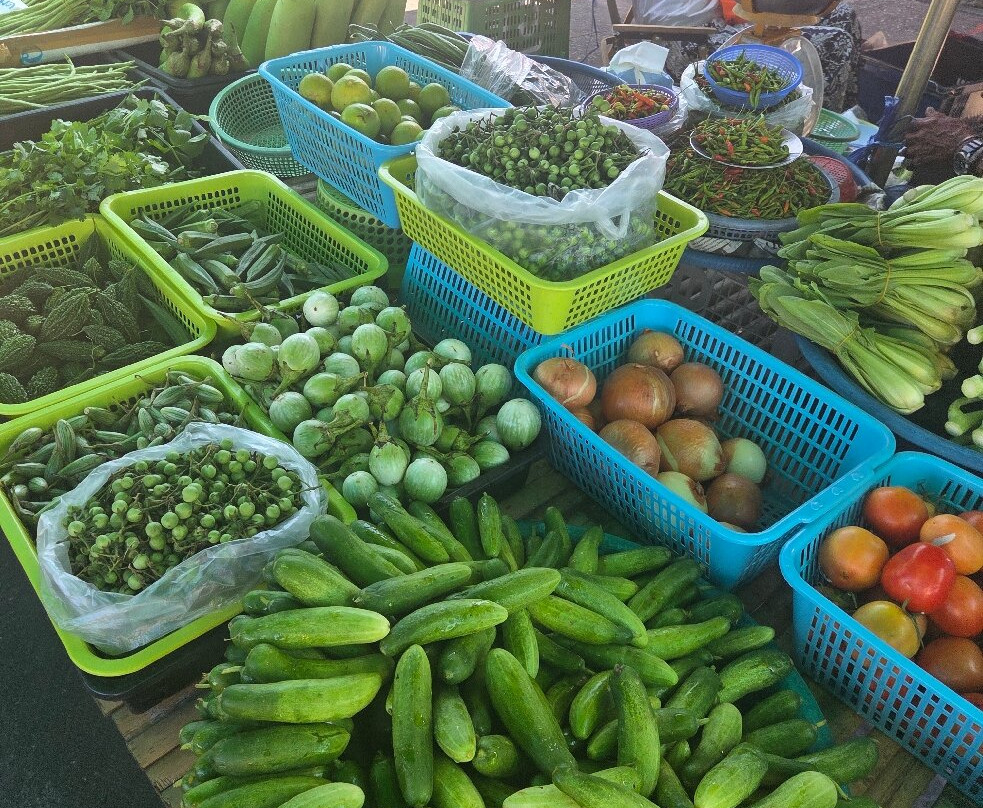 Discovery Travel - Khao Lak-拉克山必去景点