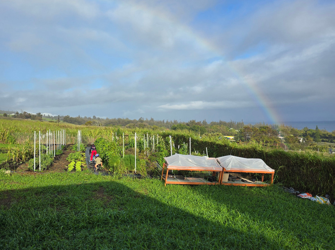 Kalopa Fields Farmstead-霍诺卡阿必去景点
