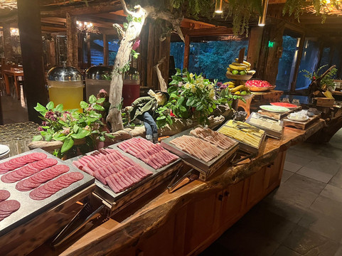 Huilo Huilo Reserva Biológica-Los Rios Region必去景点