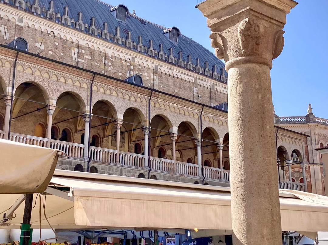 Piazza delle Erbe-帕多瓦必去景点
