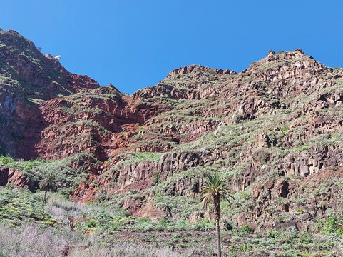 加拉霍埃国家公园-La Gomera必去景点