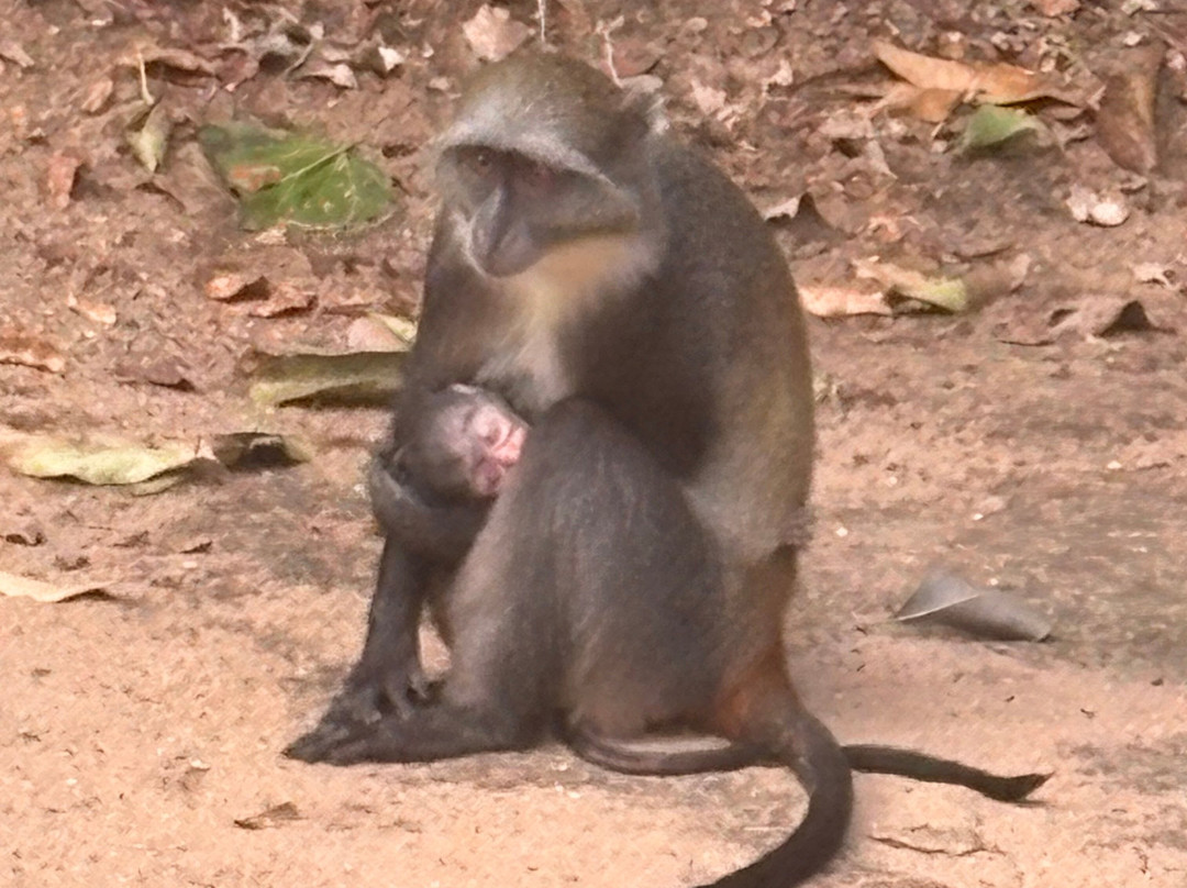 Safari In Kenya Con Samba-瓦塔木必去景点