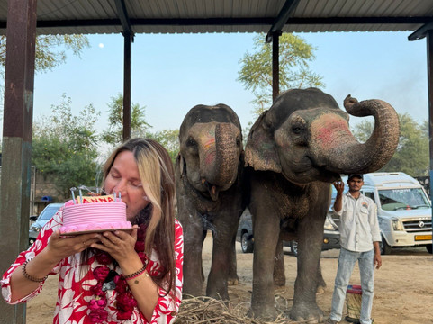 Elefun-斋蒲尔必去景点