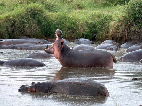 Passionate Safaris-Dar es Salaam必去景点
