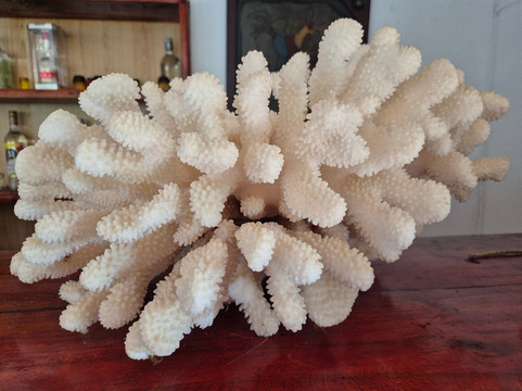 戈梅罗酒店主图