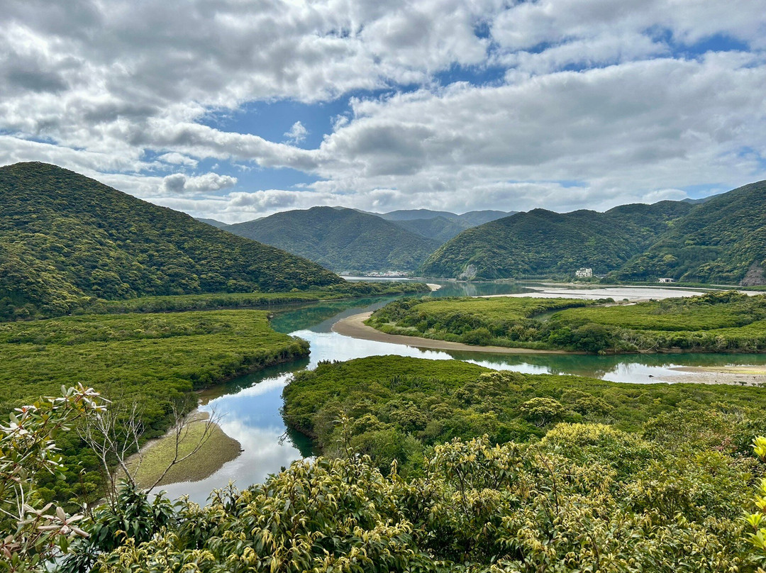 Kuroshio no Mori Mangrove Park-奄美市必去景点