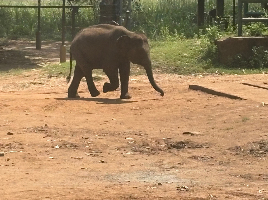Hirumal Tours-班达拉维拉必去景点