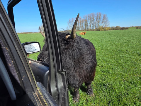 Dumble Farm-比弗利必去景点
