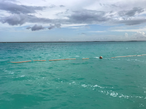 Restaurante María Sabina