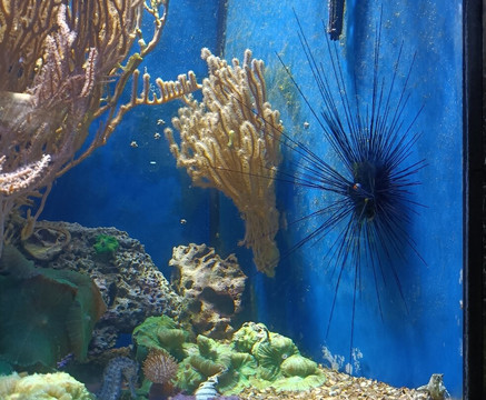 Tiergarten Ulm-乌尔姆必去景点