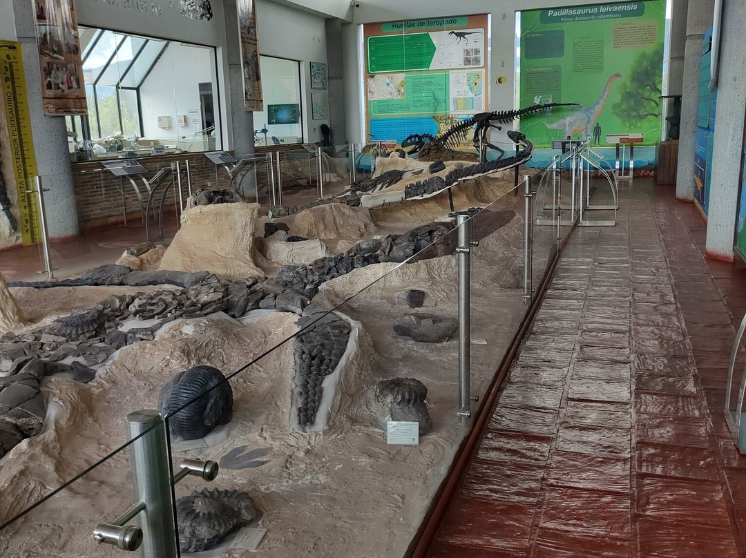 Museo Paleontologico de Villa de Leyva-莱瓦镇必去景点