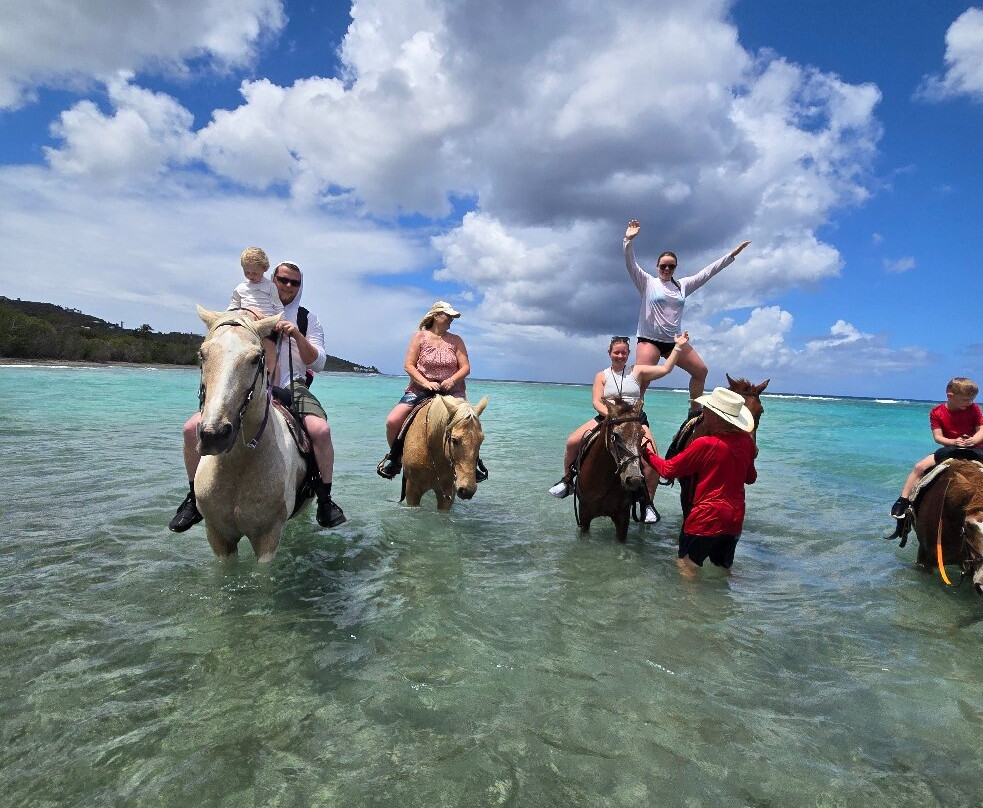 Equus Rides Horseback Riding St. Croix-Frederiksted必去景点